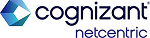 Cognizant Netcentric